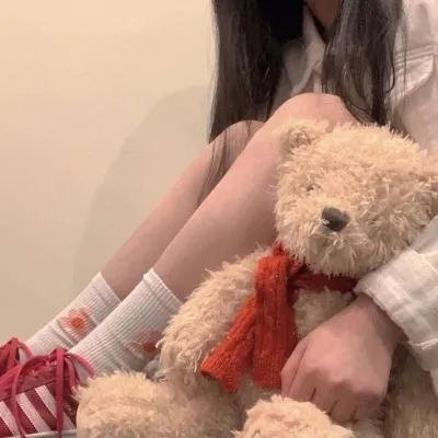 双生赤狐海报