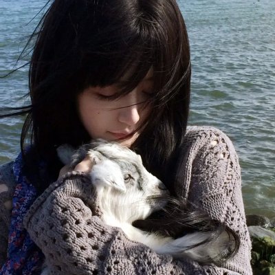 所向披靡海报