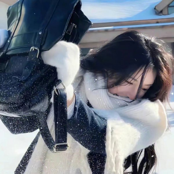 莫丽的朝圣海报